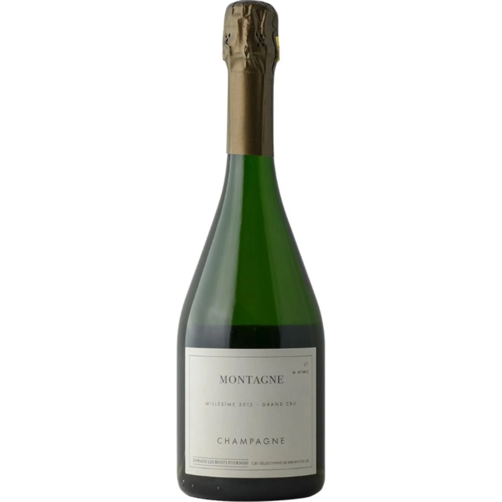 2012 | Domaine Les Monts Fournois 'Montagne' Verzy | Champagne
