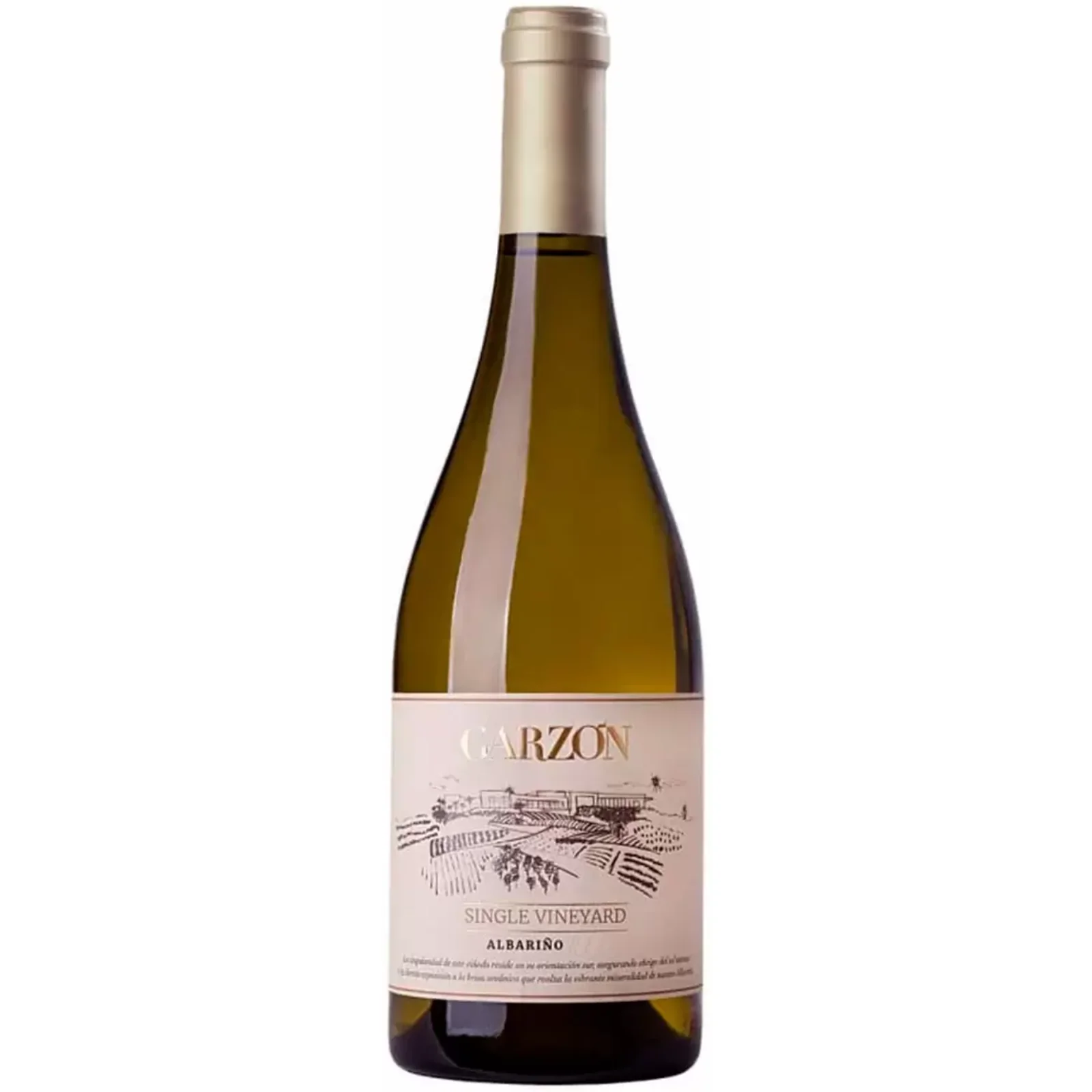 2023 | Garzon Single Vineyard Albarino | Maldonado