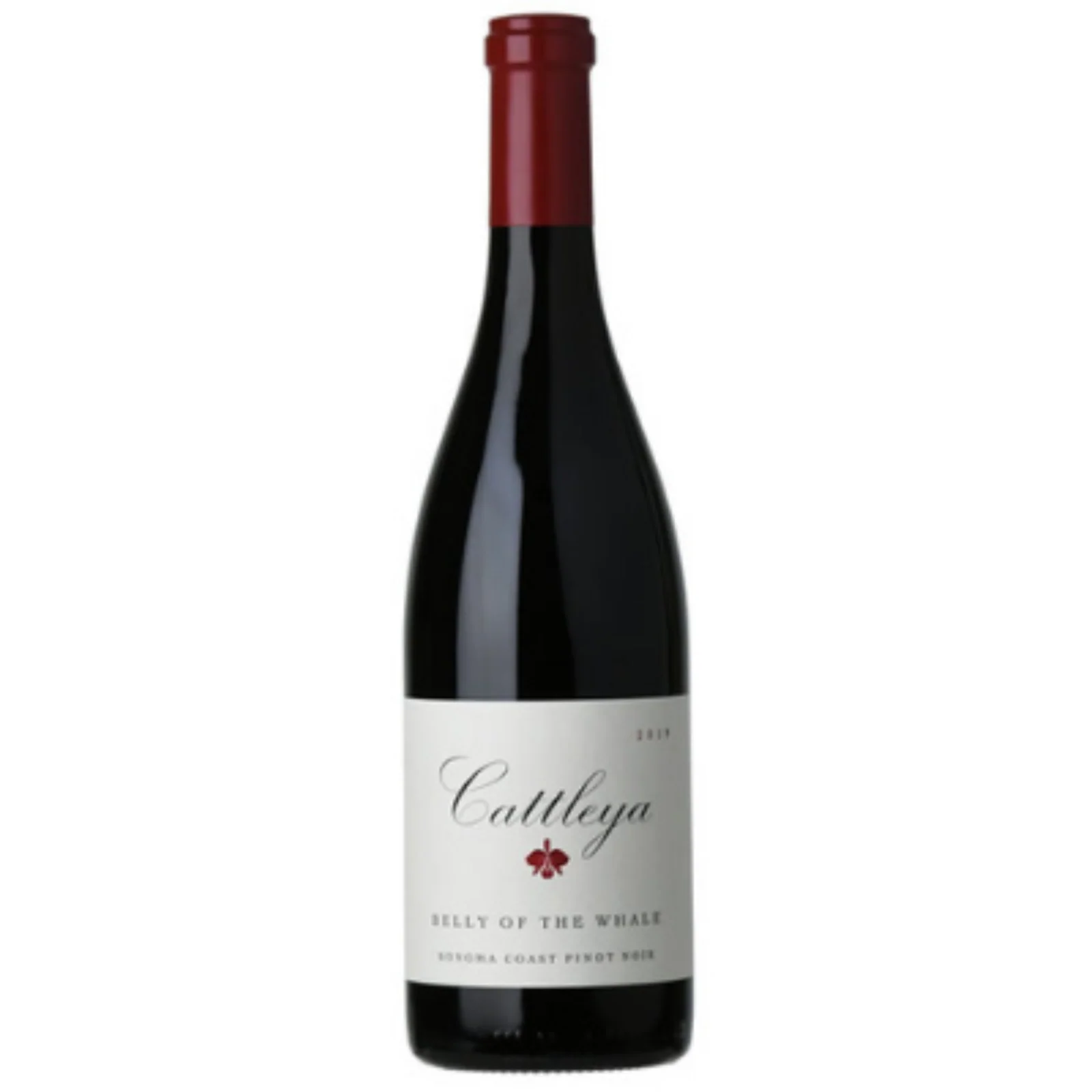 Cattleya 'Belly of the Whale' Pinot Noir 2021