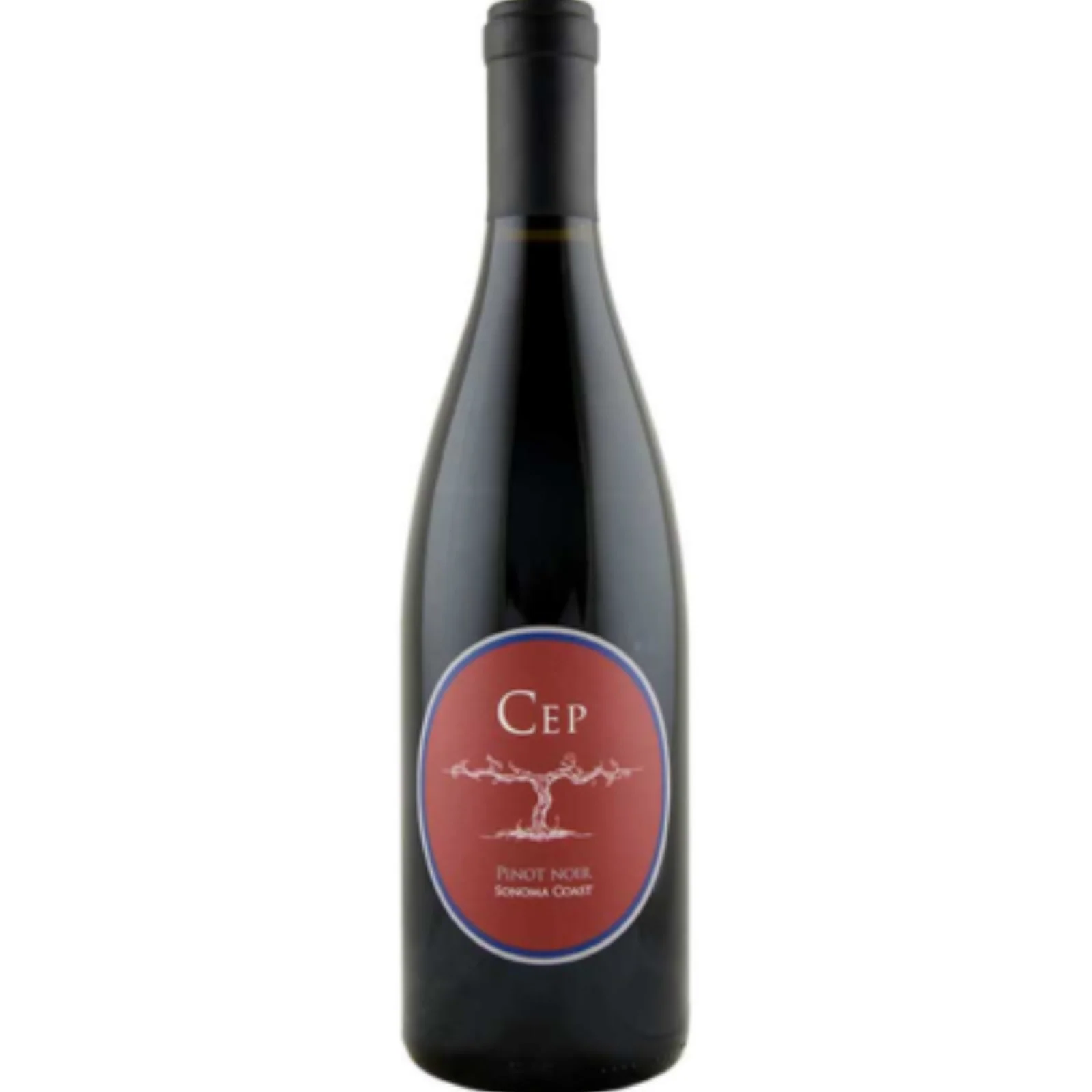 2022 | Cep Pinot Noir | Sonoma Coast