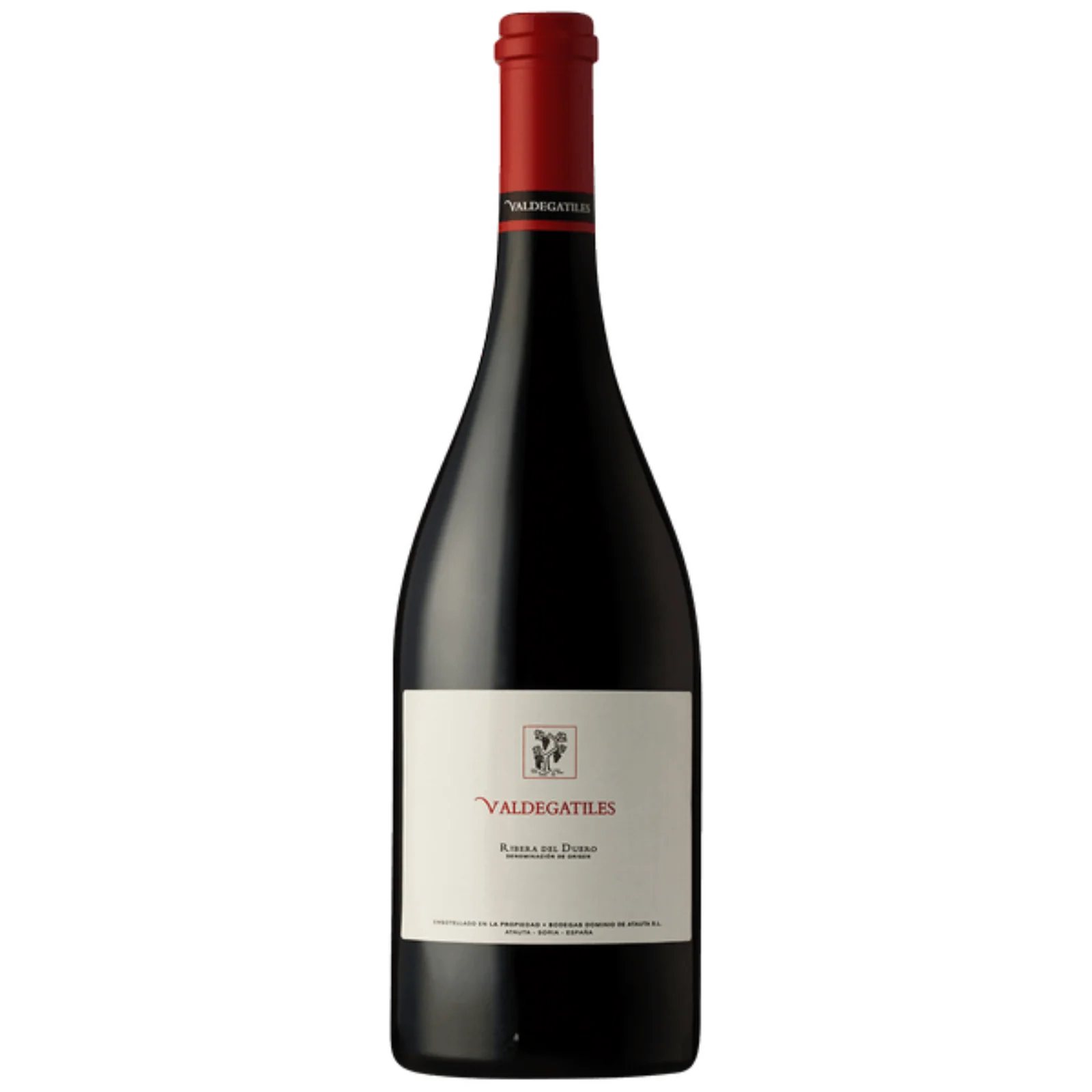 Dominio de Atauta Valdegatiles, Ribera del Duero, Spain 2016
