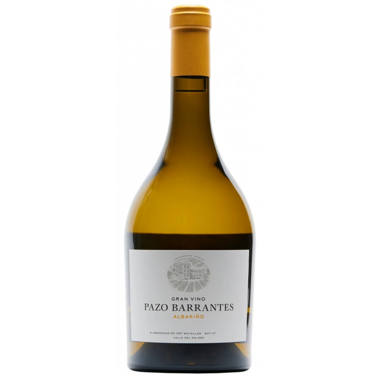 Gran Vino Pazo Barrantes Albarino Rias Baixas 2022