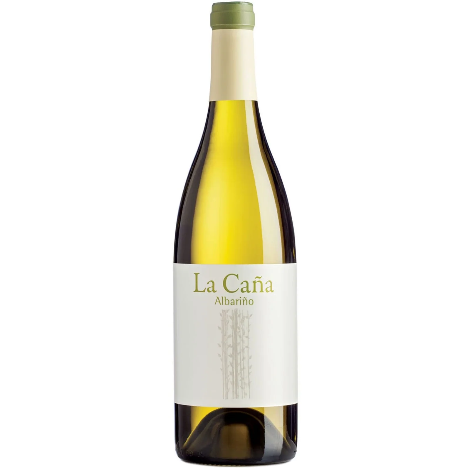 La Cana Albarino, Rias Baixas, Spain 2024 Case (6x750ml)