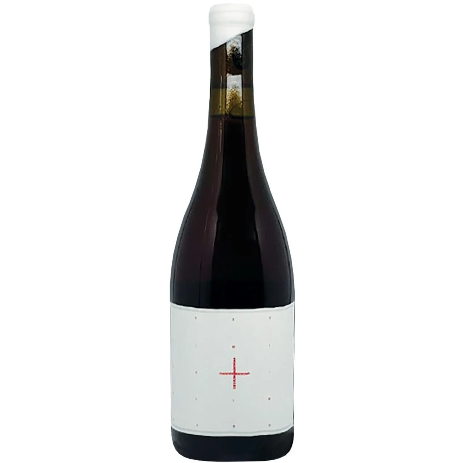 Limited Addition Old Vine Skin Fermented Pinot Gris, Eola-Amity Hills, USA 2021