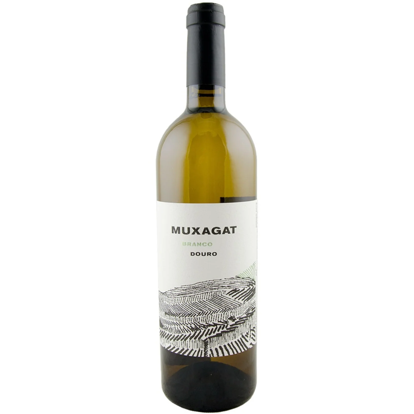 Muxagat Branco, Douro, Portugal 2020