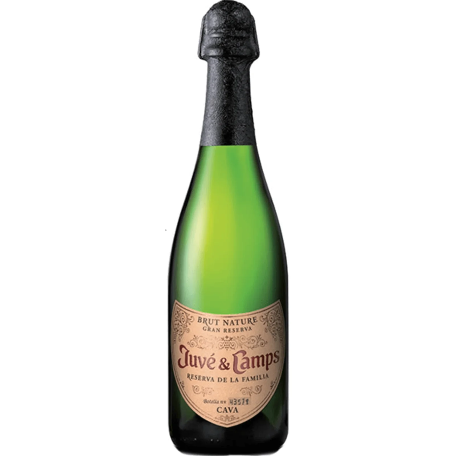 NV | Juve y Camps Familia Gran Reserva Nature | Catalonia 1.5L