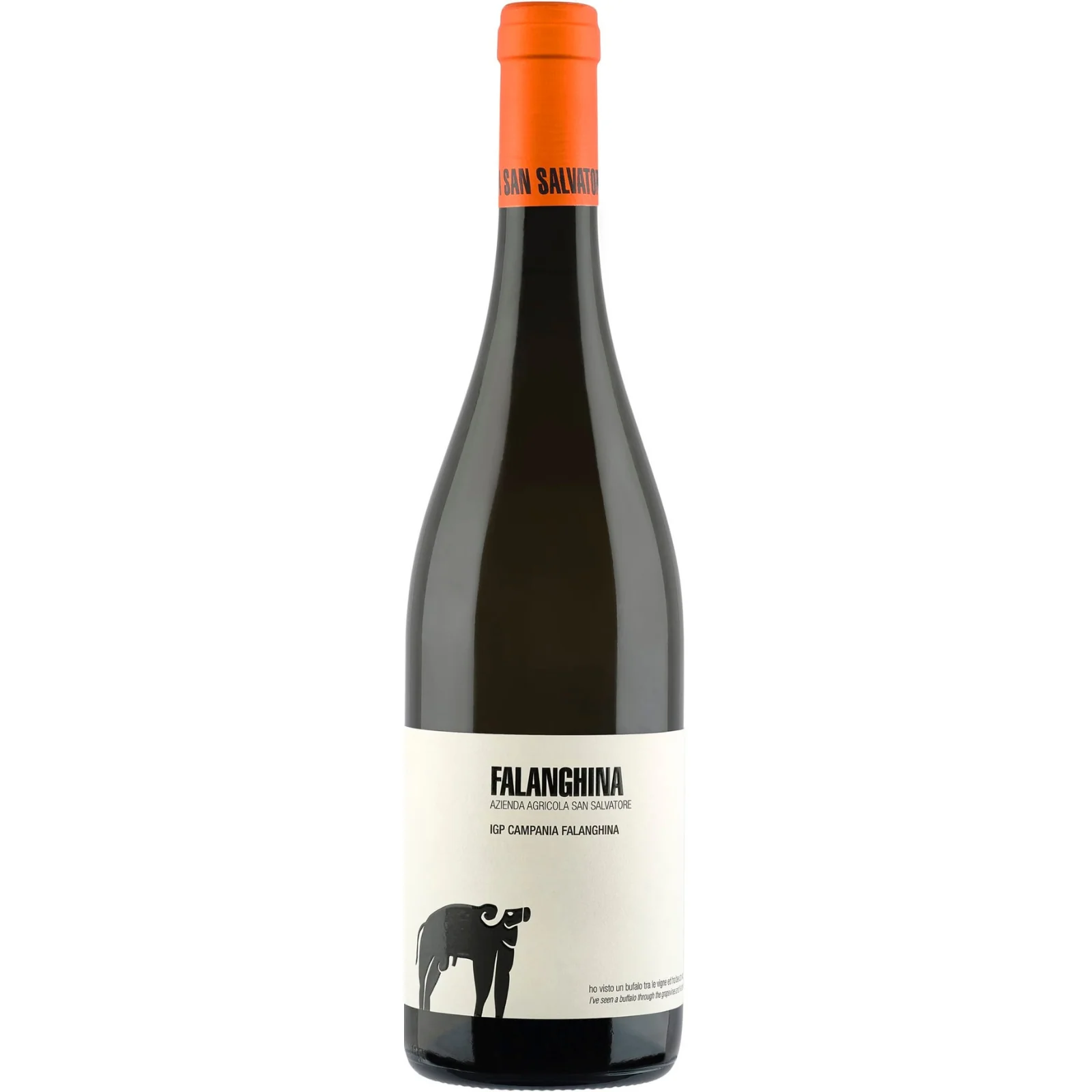 San Salvatore Falanghina Campania IGT, Italy 2022