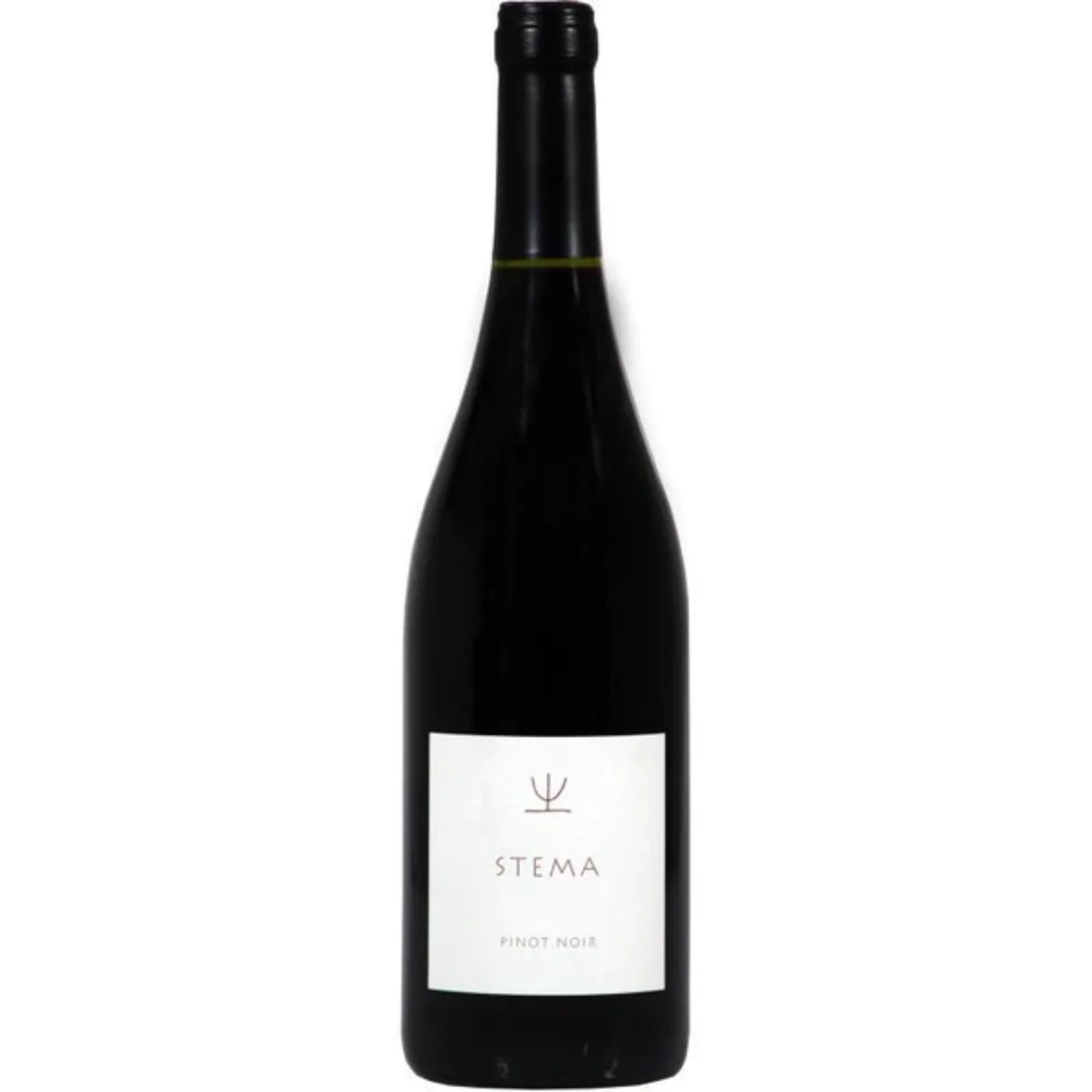 Terre Gaie Stema Pinot Nero, Veneto, Italy 2024 Case (6x750ml)