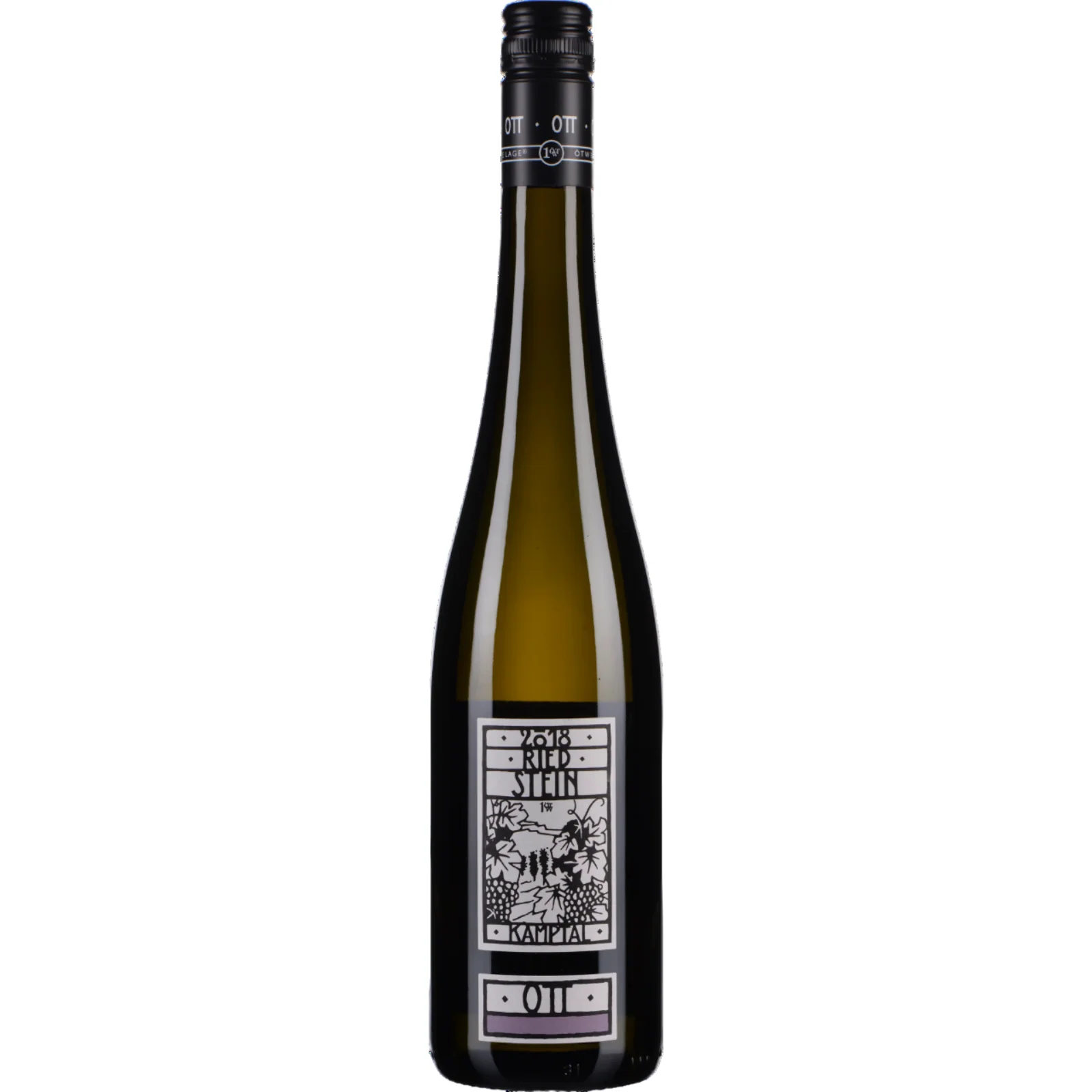 Weingut Bernhard Ott Engabrunner Stein Gruner Veltliner Erste OTW Lage, Kamptal DAC, Austria 2021