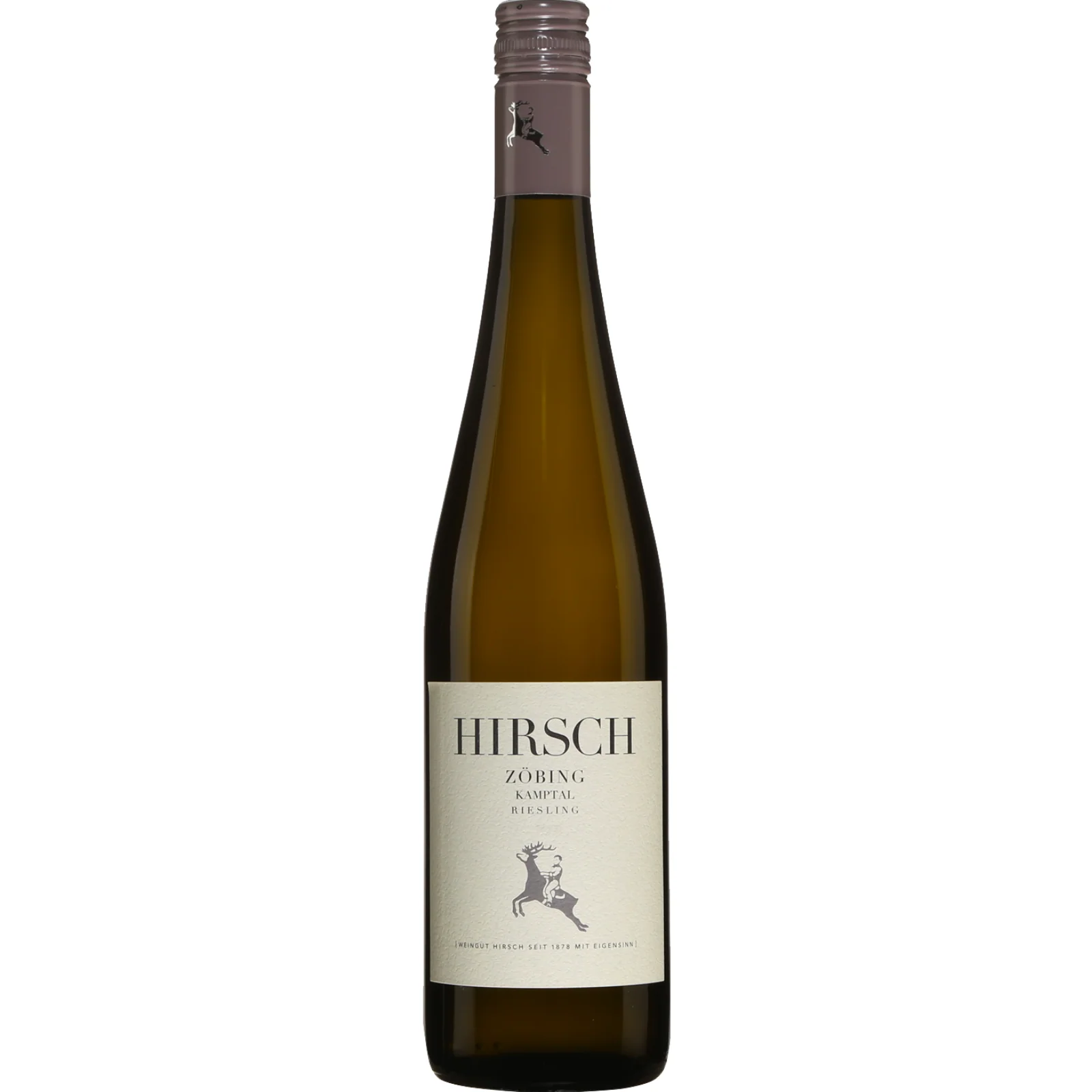 Weingut Hirsch Zobing Riesling, Kamptal DAC, Austria 2020