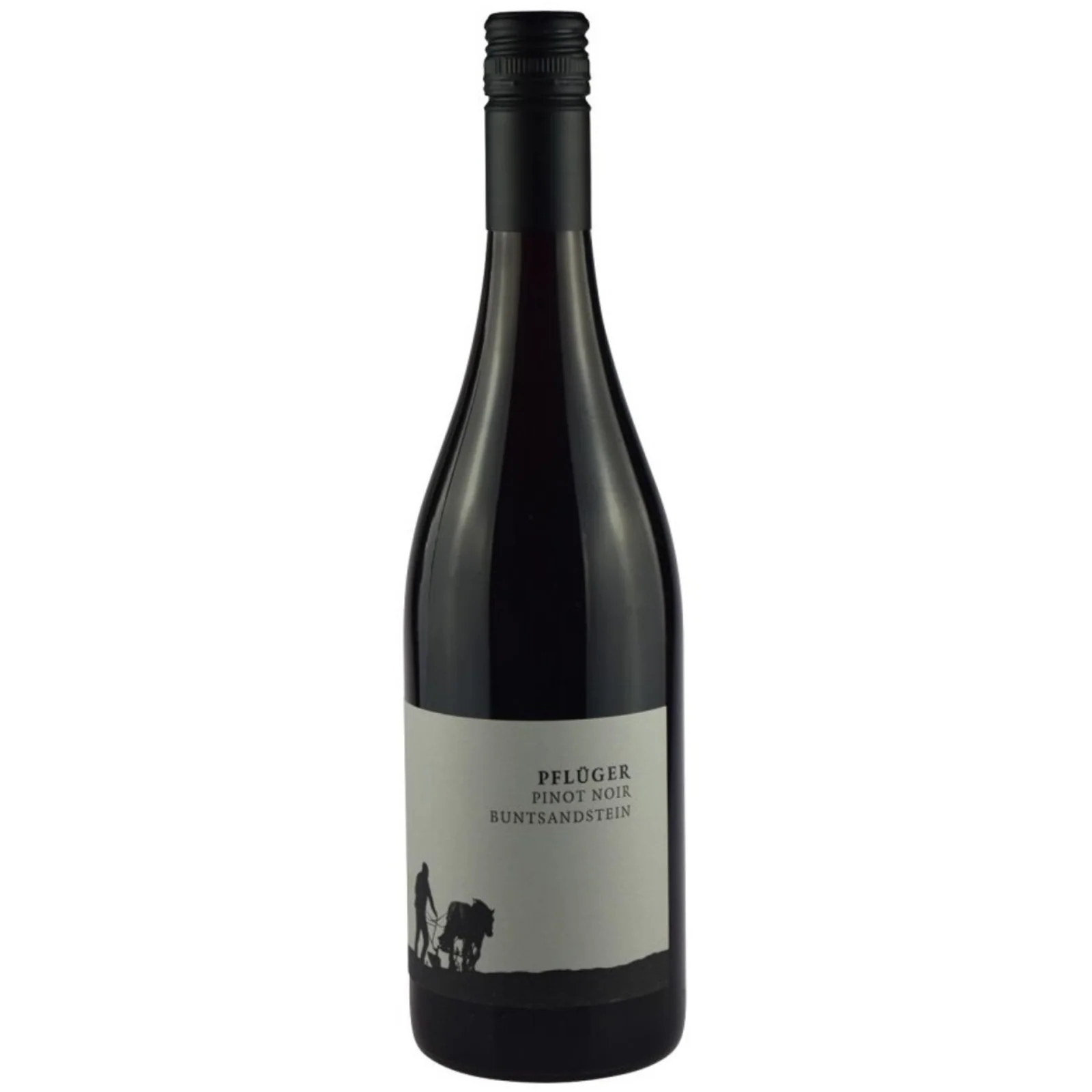 2023 | Weingut Pfluger Buntsandstein Pinot Noir | Pfalz